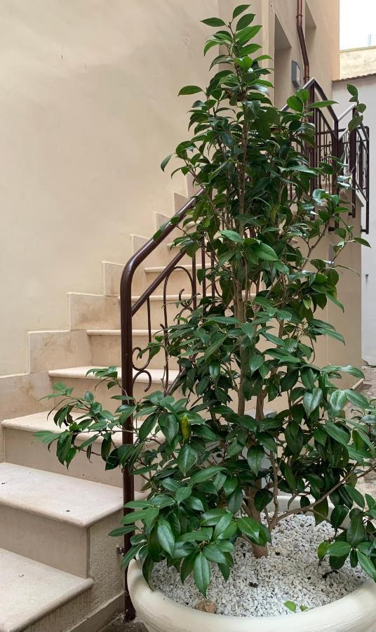 Appartamento Camelia Palo del Colle ภายนอก รูปภาพ